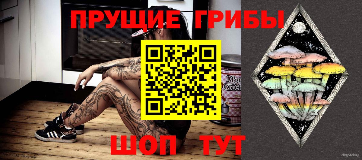 Кувандык  Псилоцибиновые грибы Cubensis  Вход с VPN 