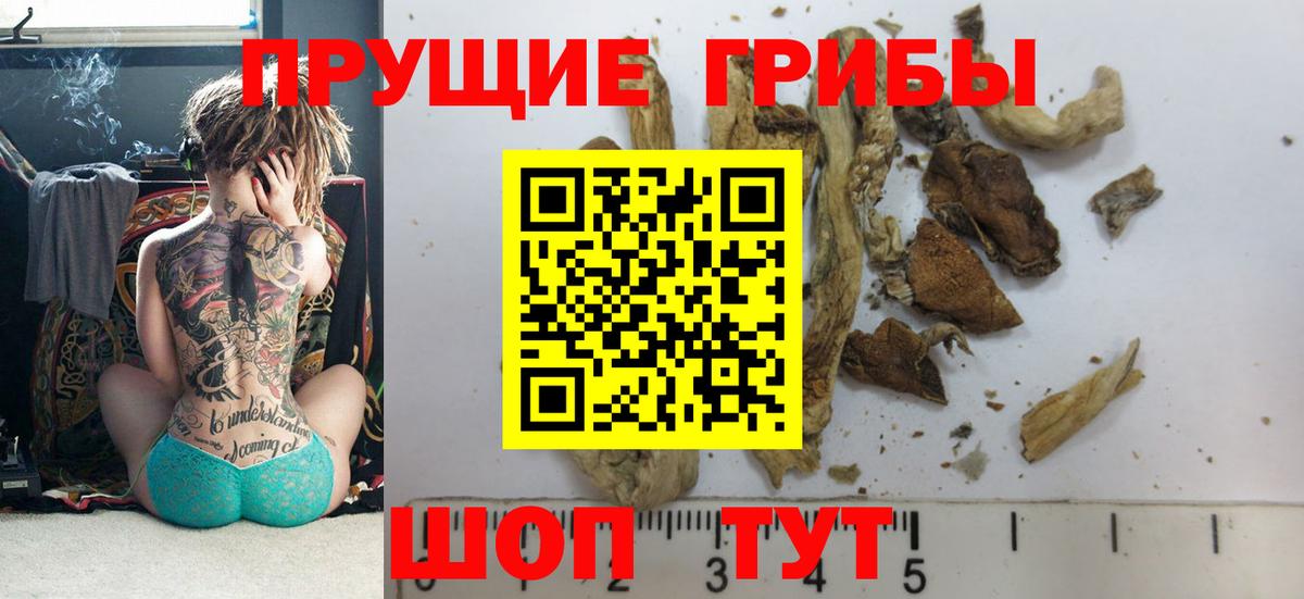 Галлюциногенные грибы Magic Shrooms Кувандык